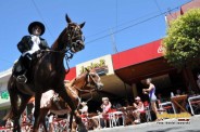 Desfile Caballos 012